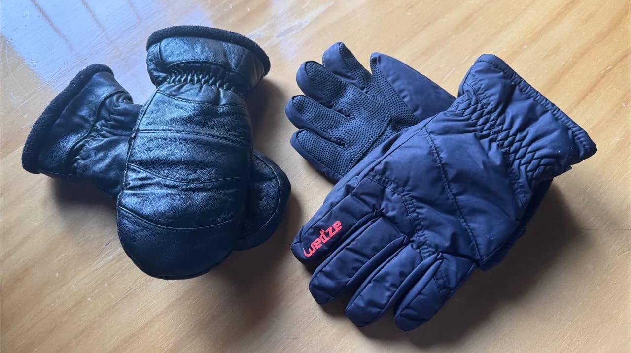 Горнолыжные варежки и перчатки Bogner
