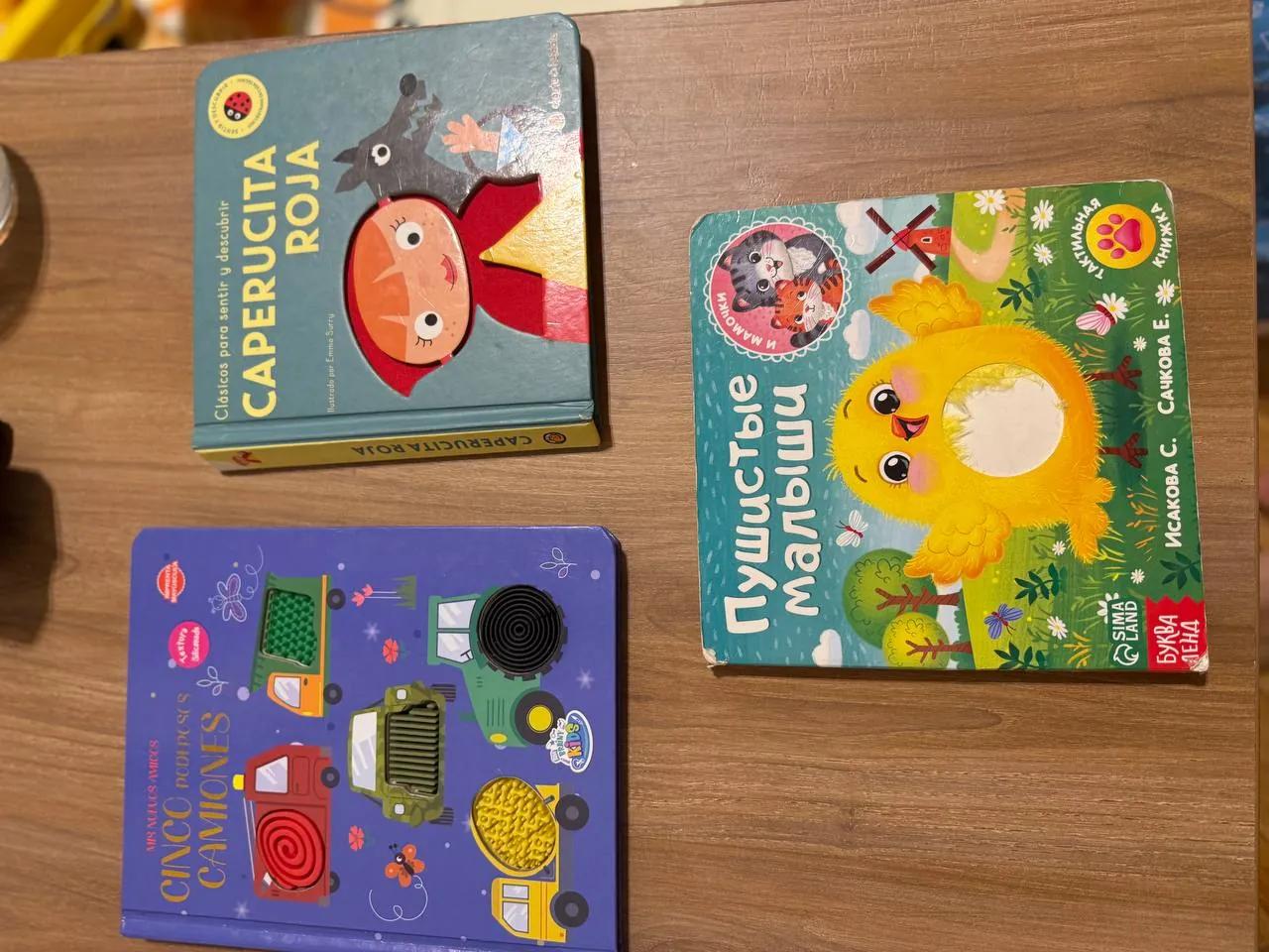 Тактильные книжки и магнитная игра