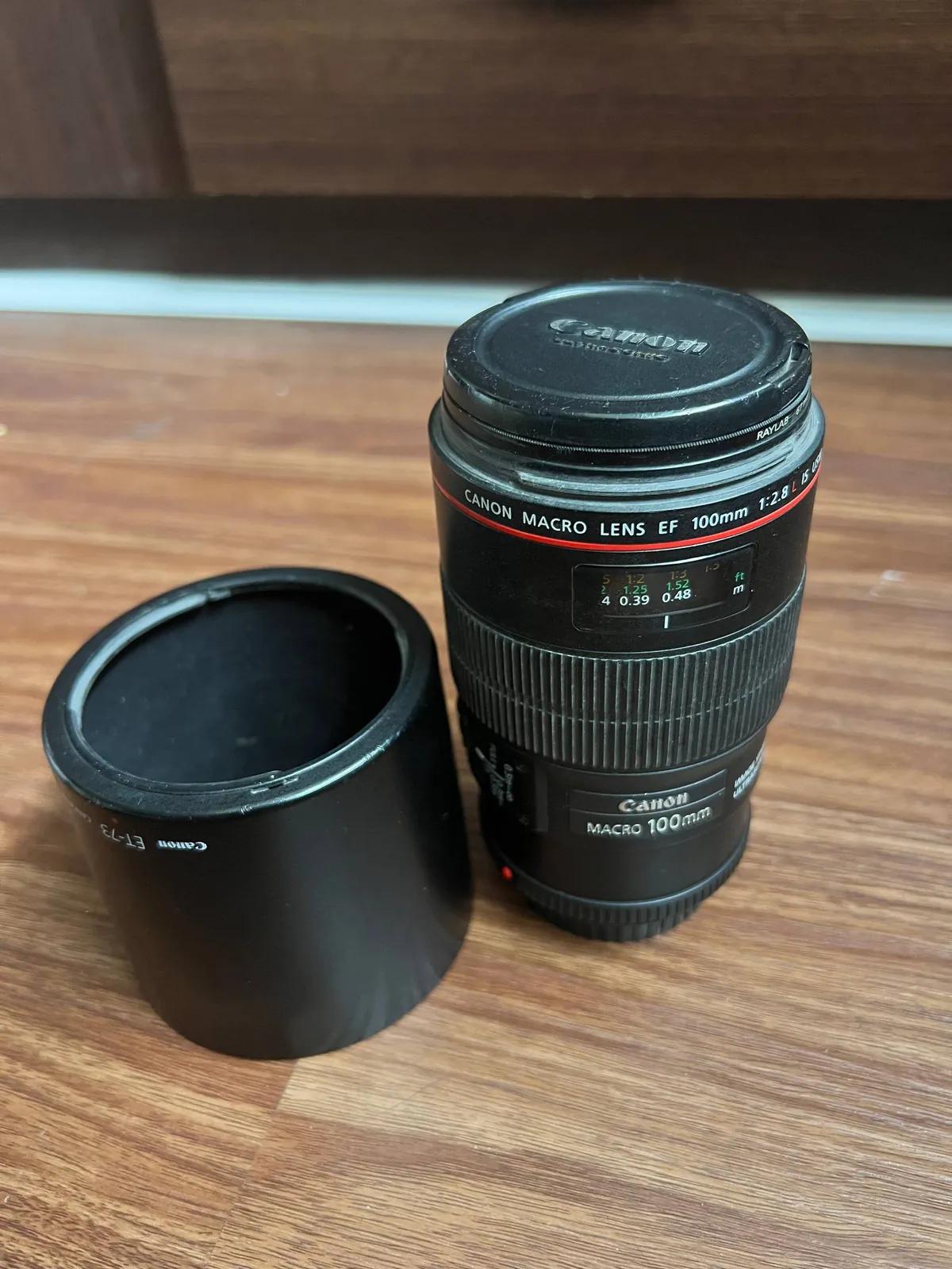 Объективы Canon EF 100mm Macro и 50mm 1.8
