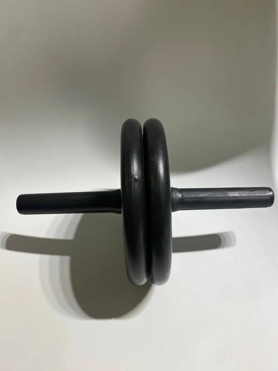 Колесо для пресса ab wheel двойное