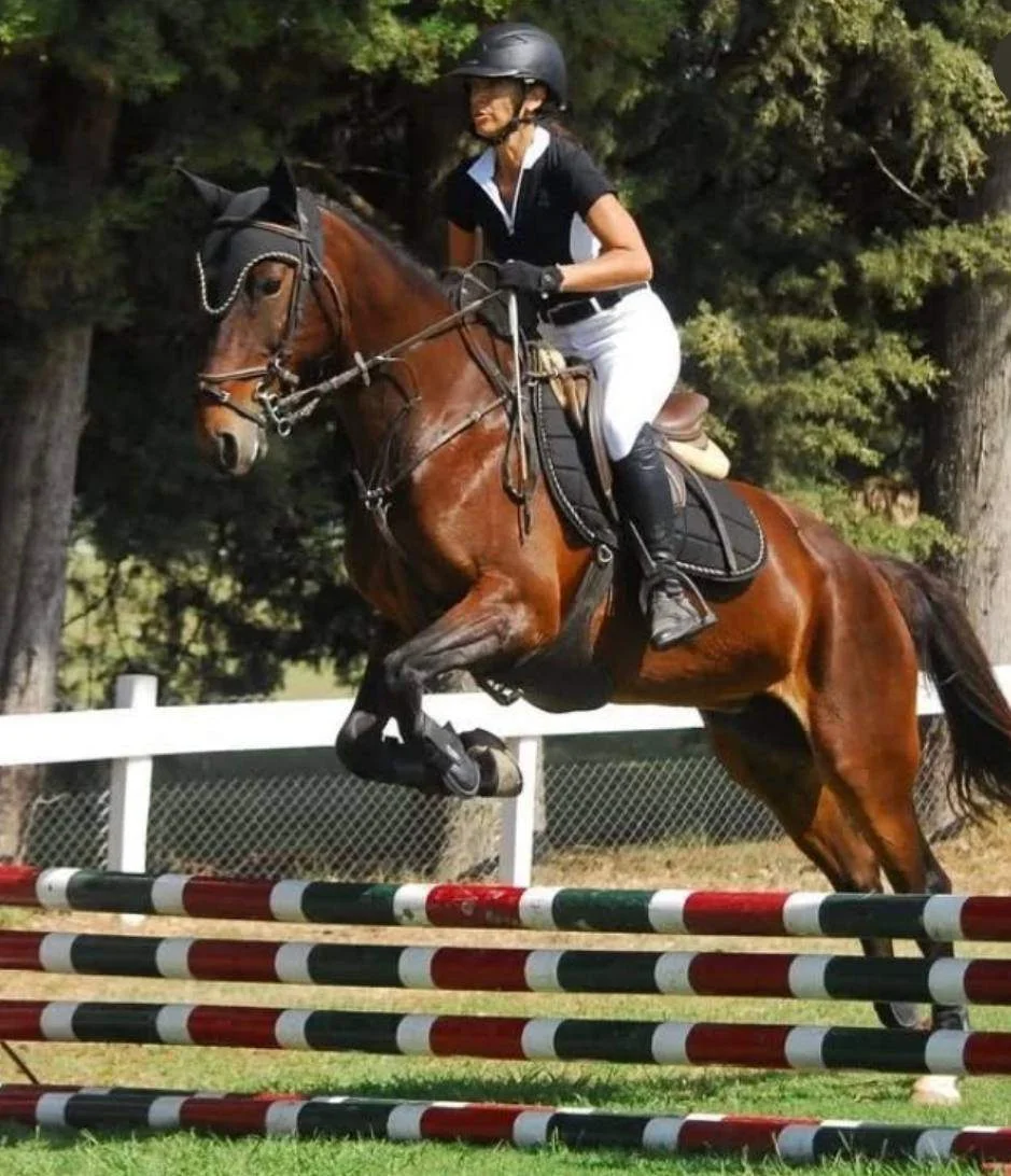 Pilar. San Sebastian. Продается одноэтажный дом 6