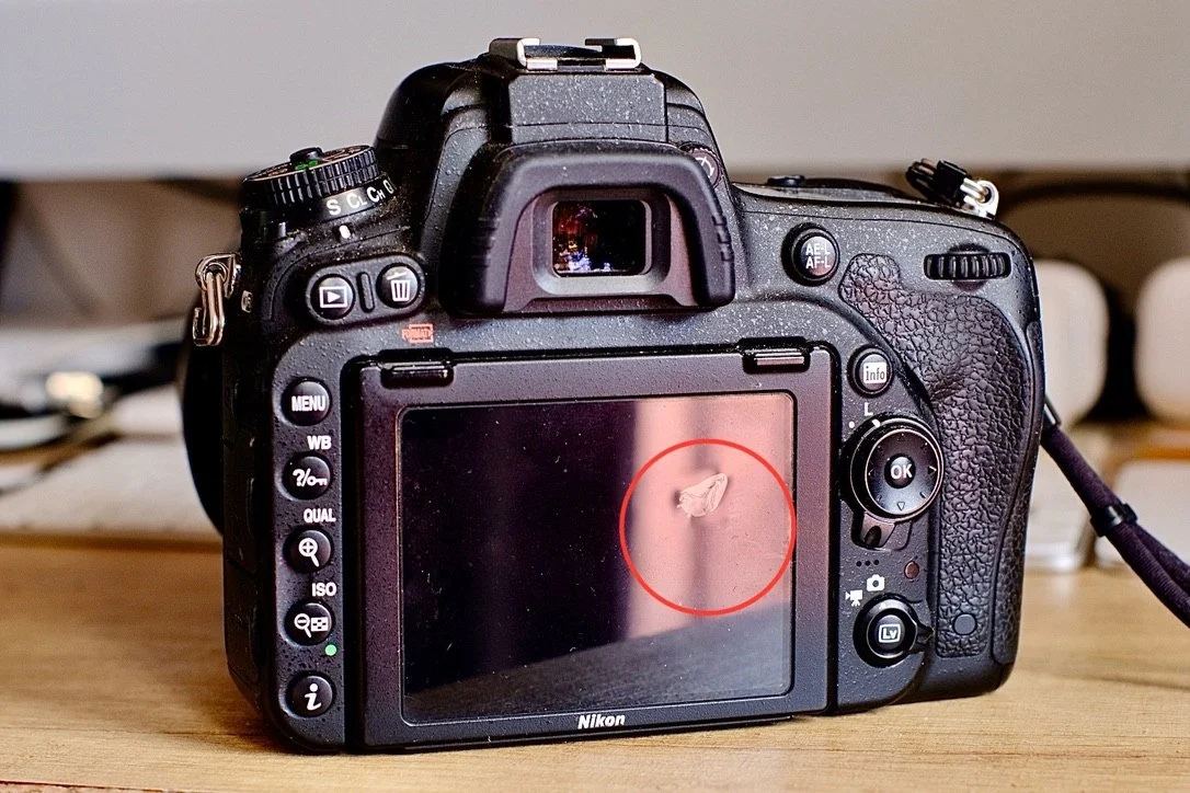 NIKON D750 + AF Zoom-Nikkor 24-85mm f/2.8-4D IF 3