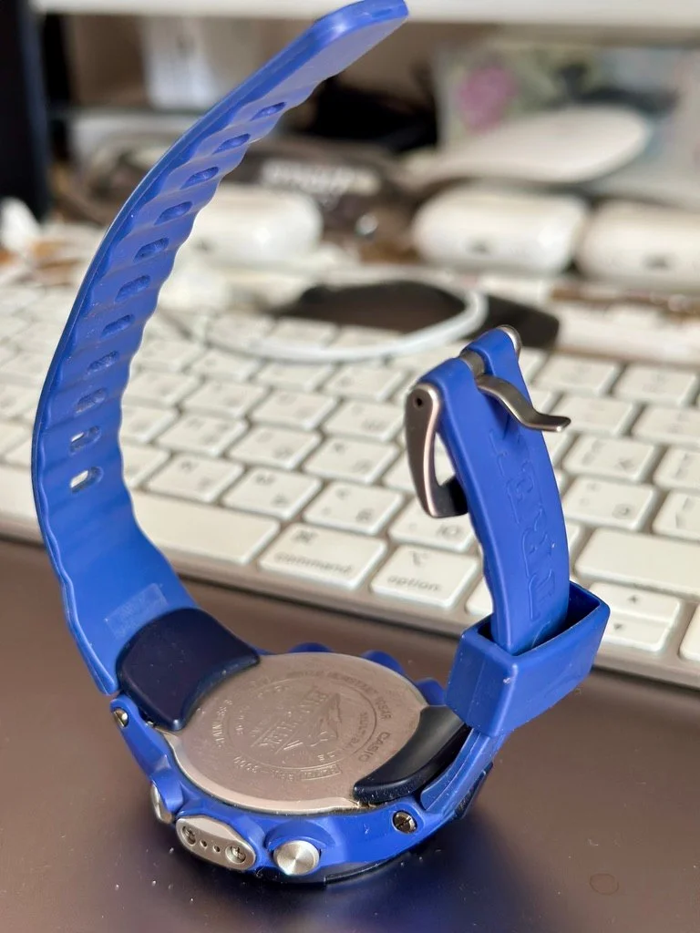 CASIO PROTREK PRW-3000 2