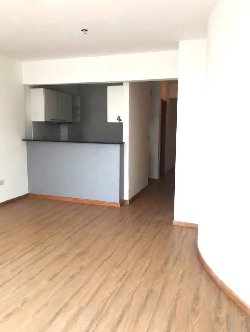 Трехкомнатная квартира в Бельграно 2