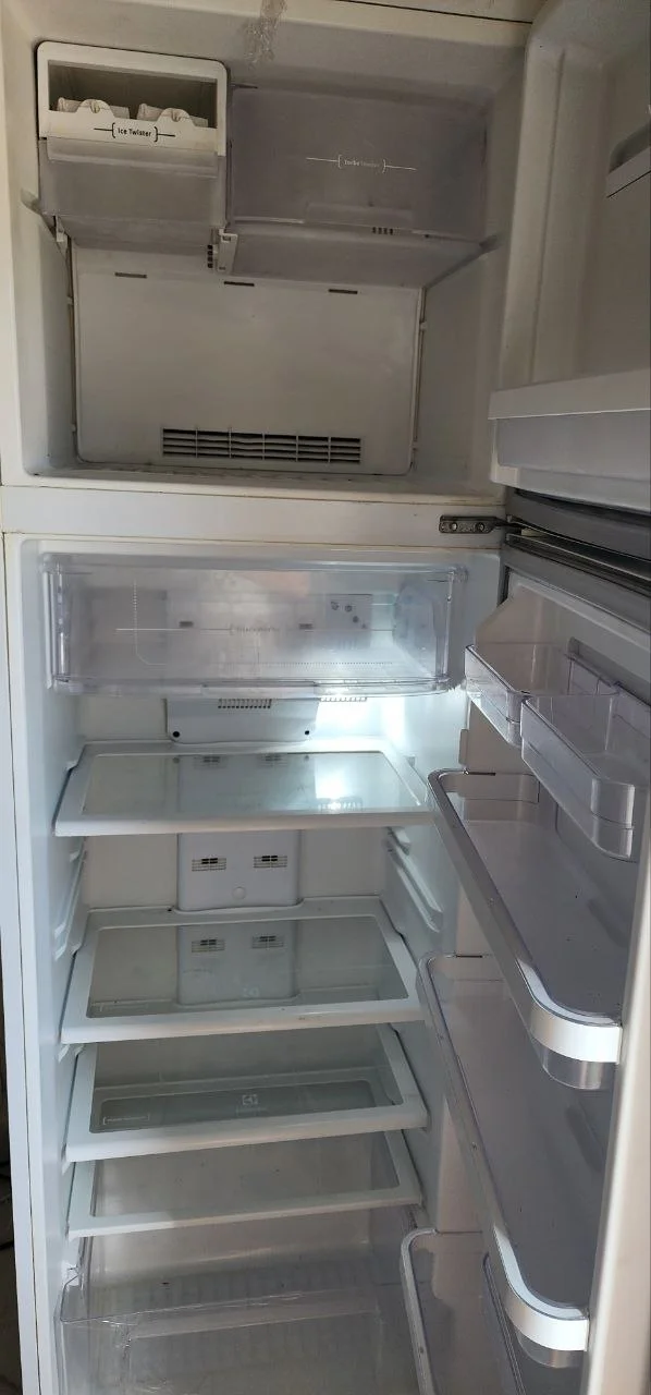 Холодильник Electrolux DF3903 1