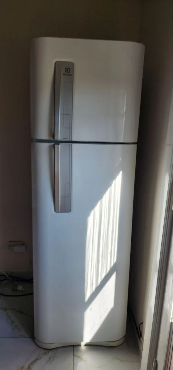 Холодильник Electrolux DF3903 2