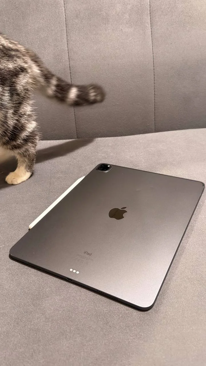 iPad Pro 12.9 5gen с Pencil 2 3