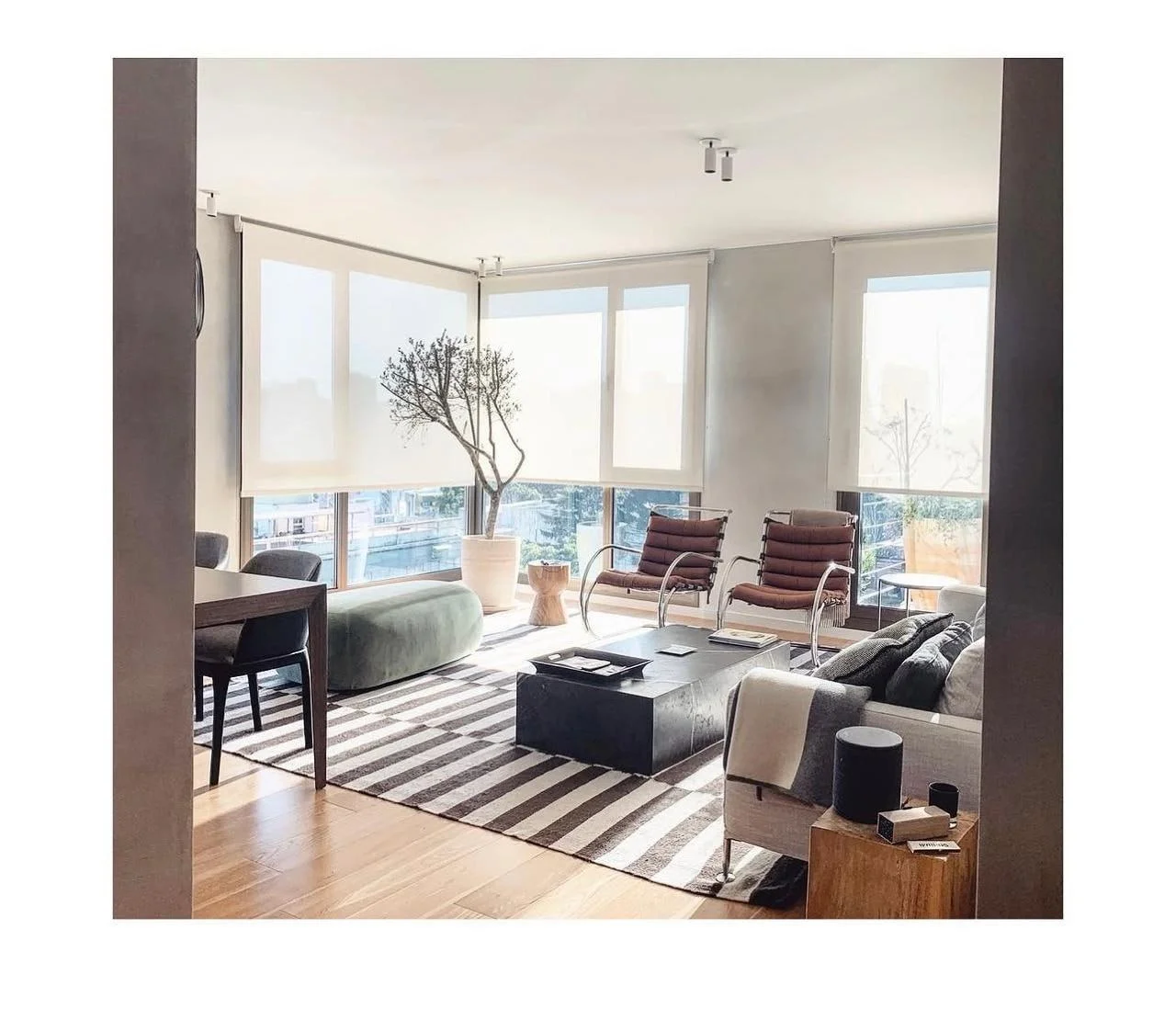3к квартира 100м в Belgrano 1