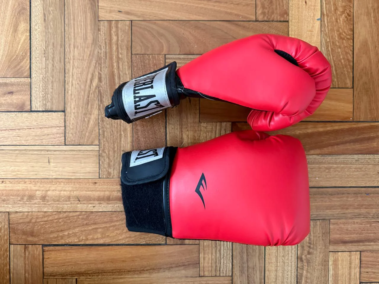 Боксёрские щитки и перчатки Everlast 2
