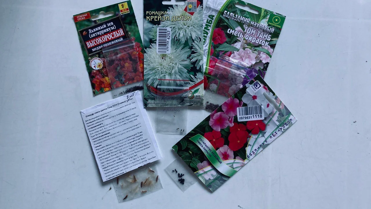 Излишки семян цветов 1
