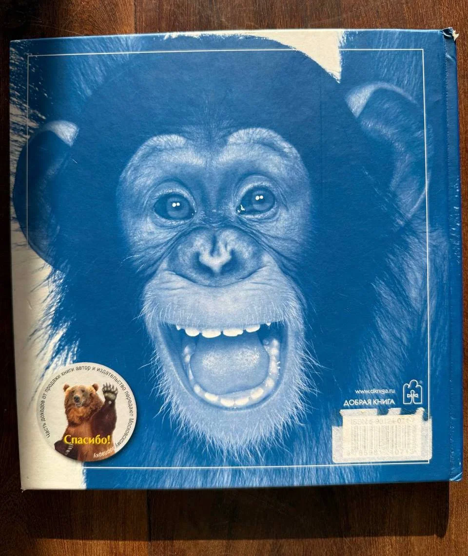 Детская книга 2