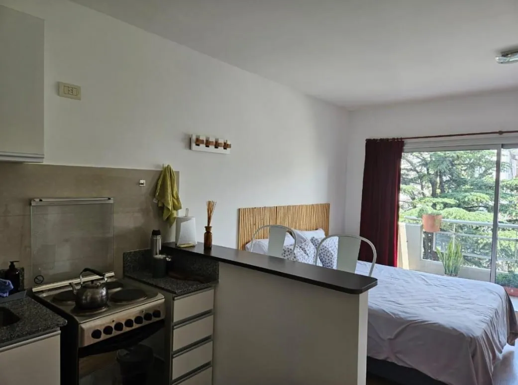 Аренда студии Recoleta Billinghurst 8