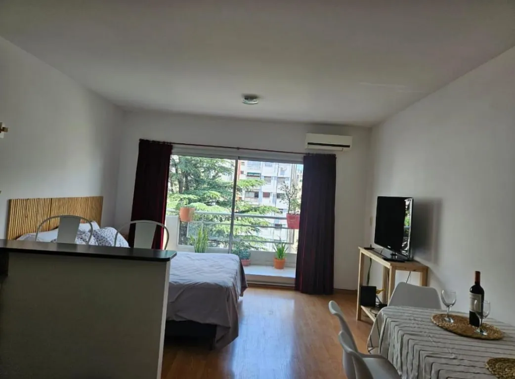 Аренда студии Recoleta Billinghurst 2