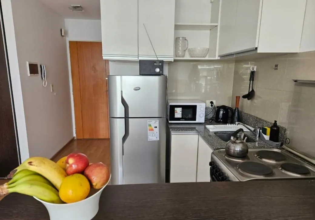Аренда студии Recoleta Billinghurst 7