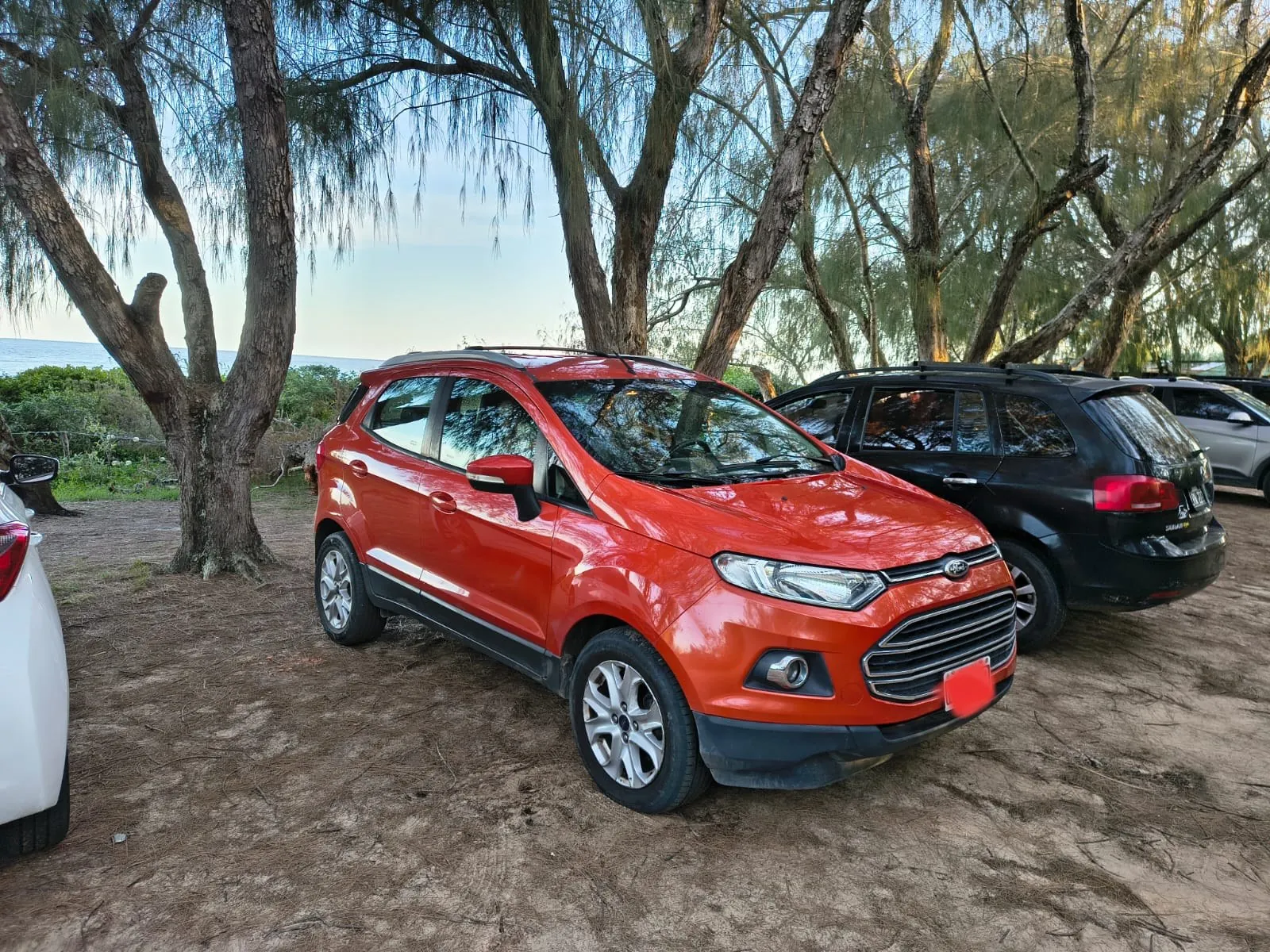 Ford Ecosport 2014 2.0 МКПП 144000 км 1