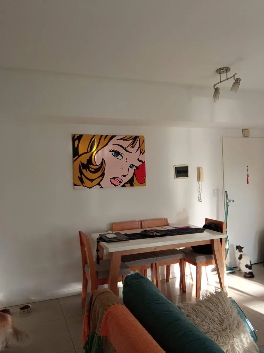 Аренда 2к Palermo с террасой Bulnes Soler 6