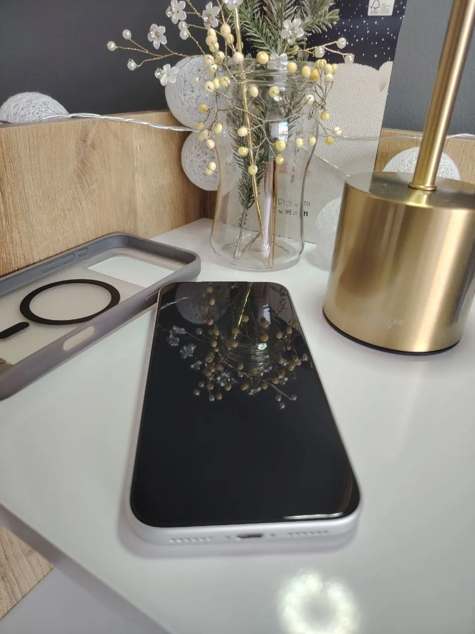 iPhone 17 Pro Max 256GB silver с чехлом 5