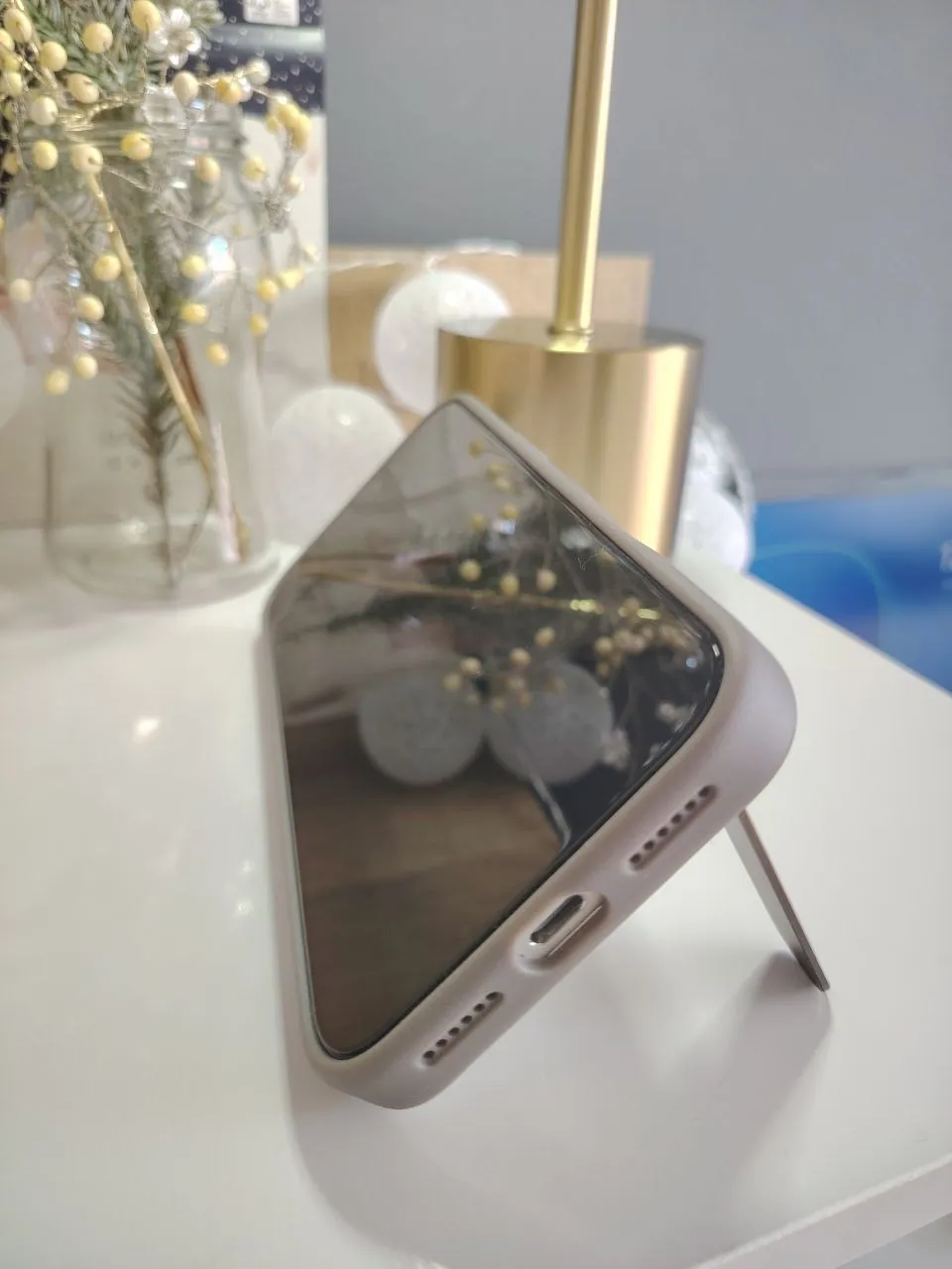 iPhone 17 Pro Max 256GB silver с чехлом 2