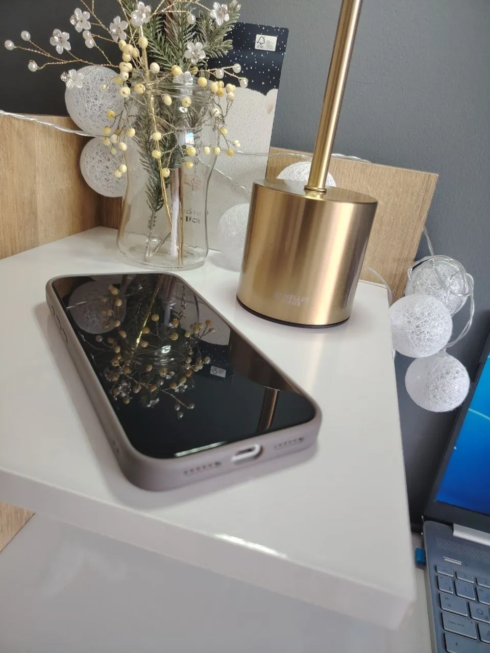 iPhone 17 Pro Max 256GB silver с чехлом 1