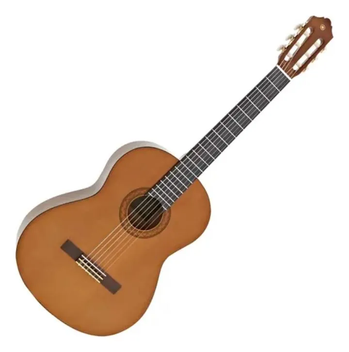 Пианино Casio S-110 и гитара Yamaha 2