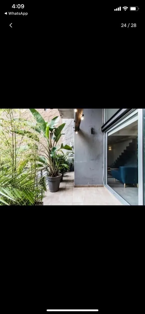 3к Palermo Hollywood Cabrera 6000 паришей 7