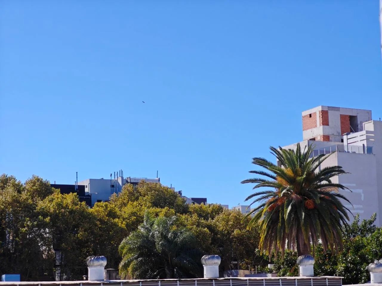 Аренда студии Palermo Hollywood Bonpland 9