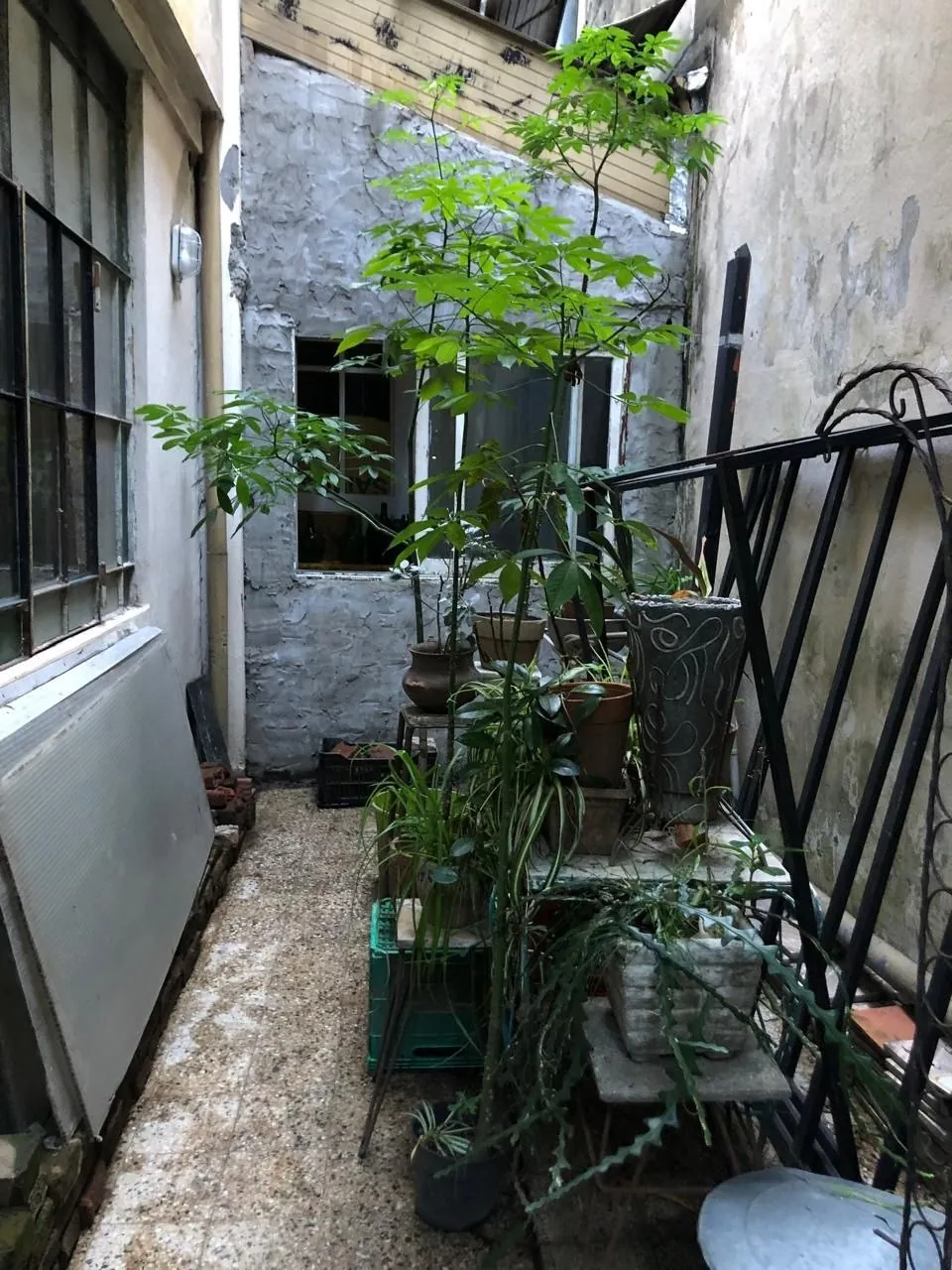 Миниатюра 7