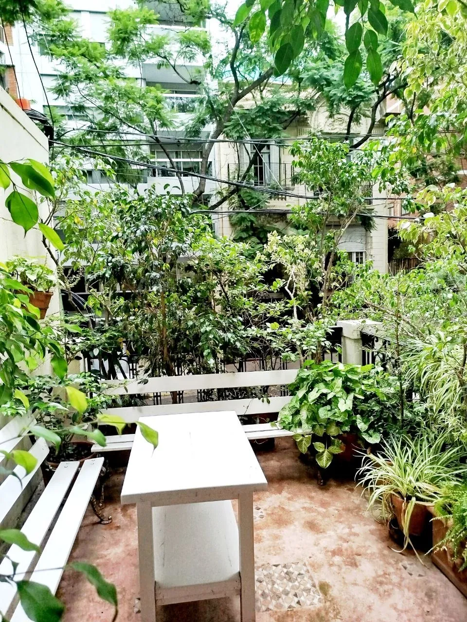 Аренда 2-комн лофта Палермо Ботанико 40 м2 9