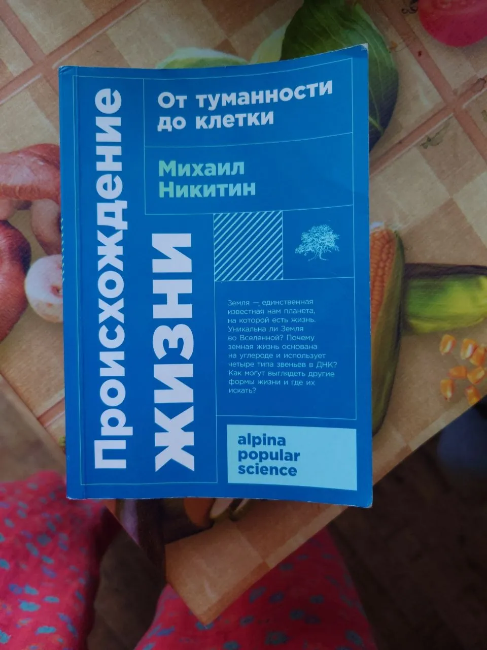 Миниатюра 1