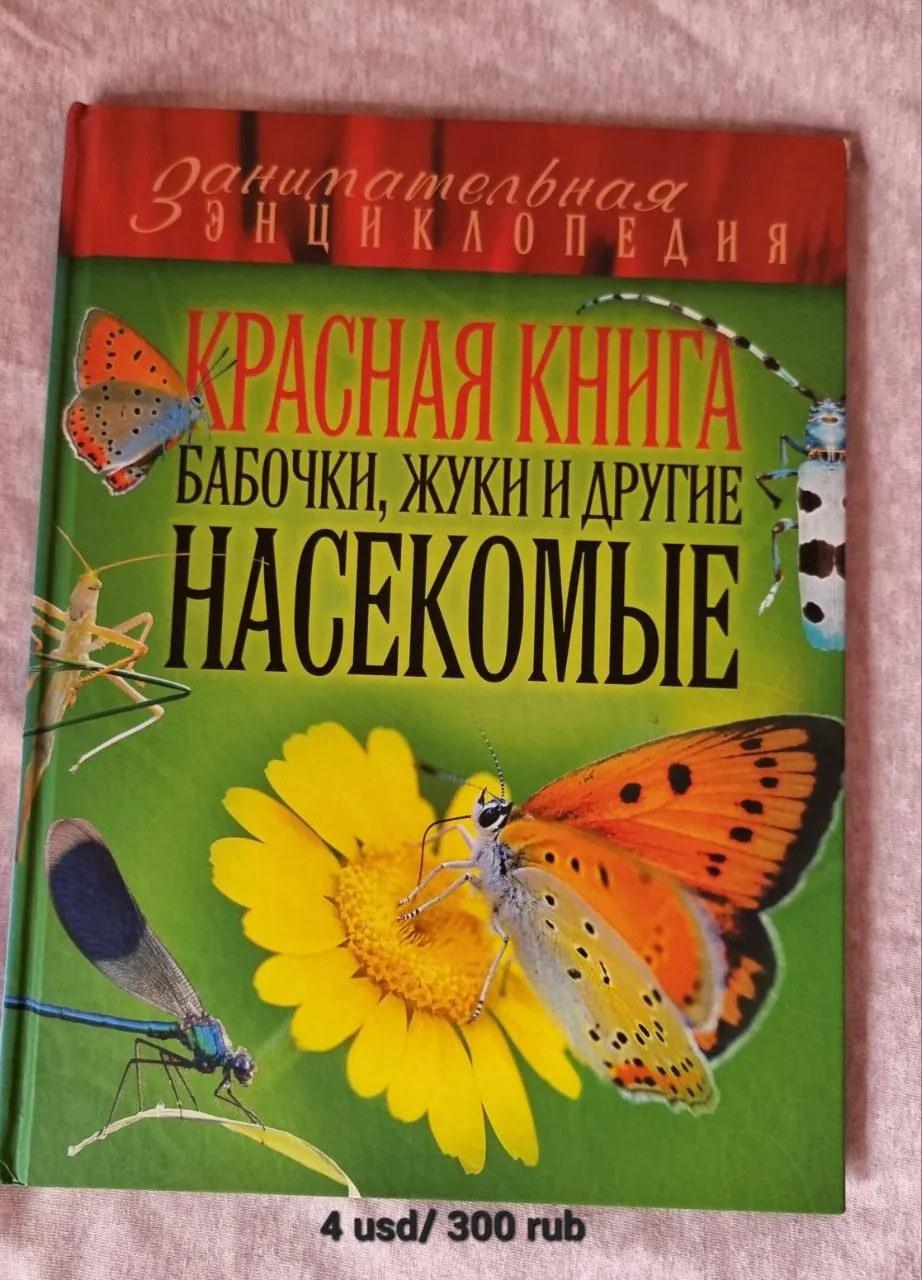 Миниатюра 8