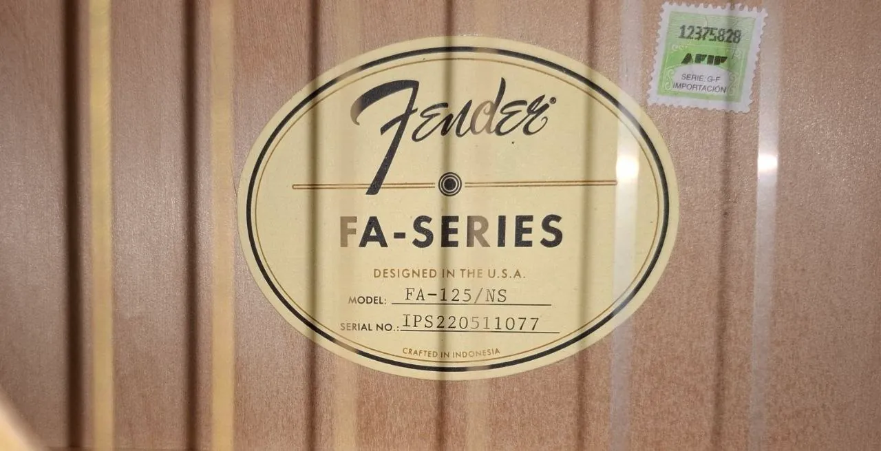 Акустическая гитара Fender FA-125 NS 1
