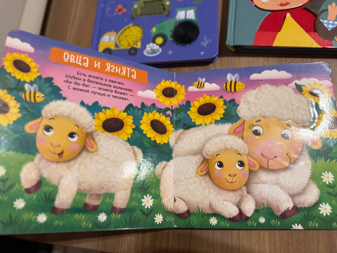 Тактильные книжки и магнитная игра 7