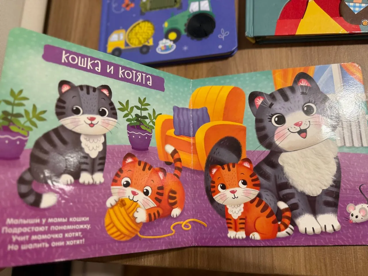 Тактильные книжки и магнитная игра 6