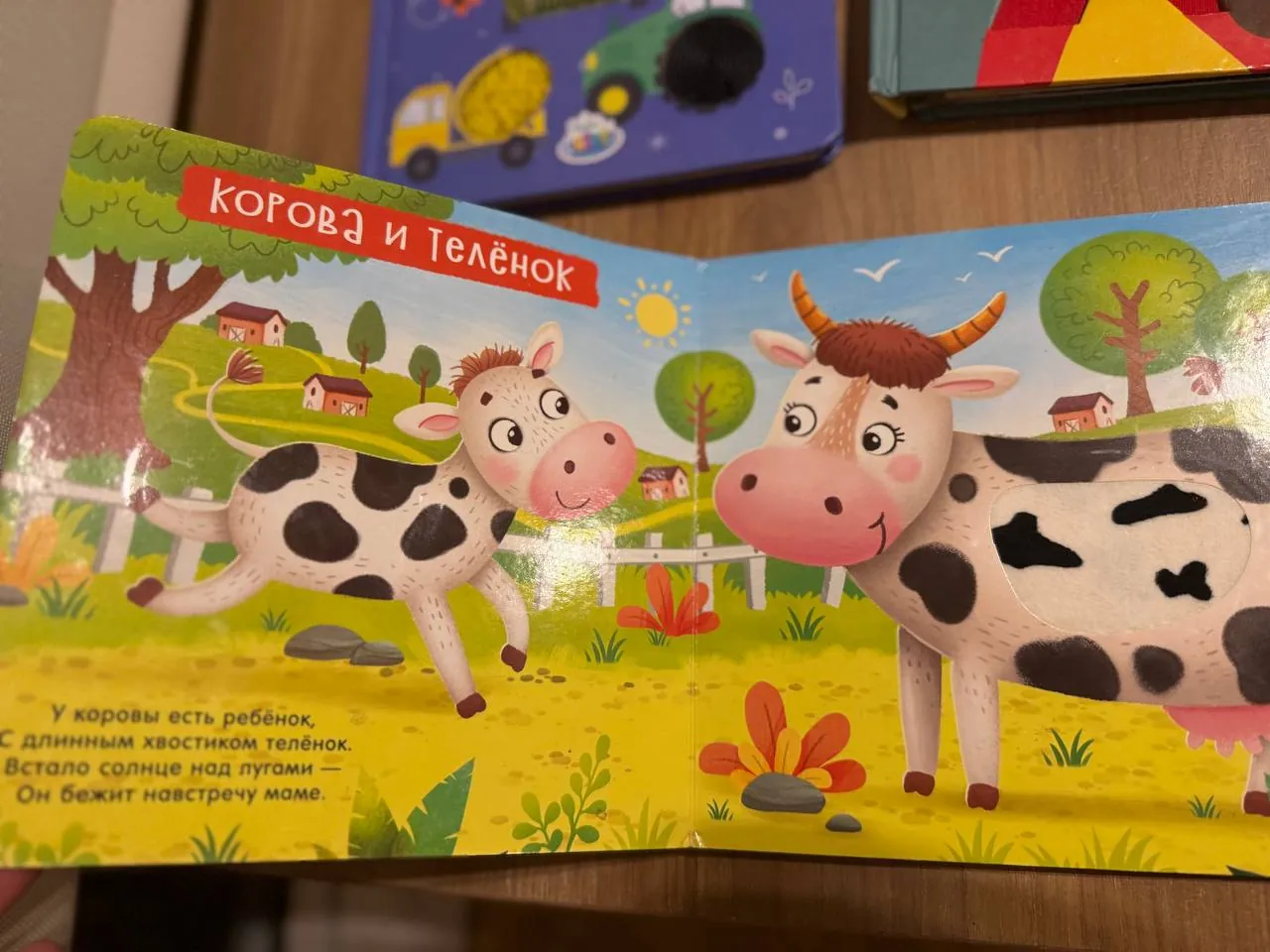 Тактильные книжки и магнитная игра 5