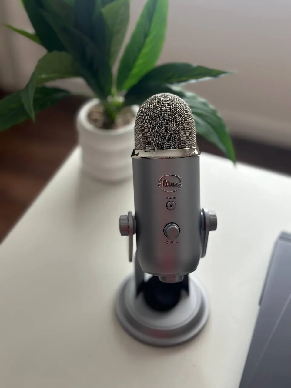 Студийный микрофон Blue Yeti серебряный 1