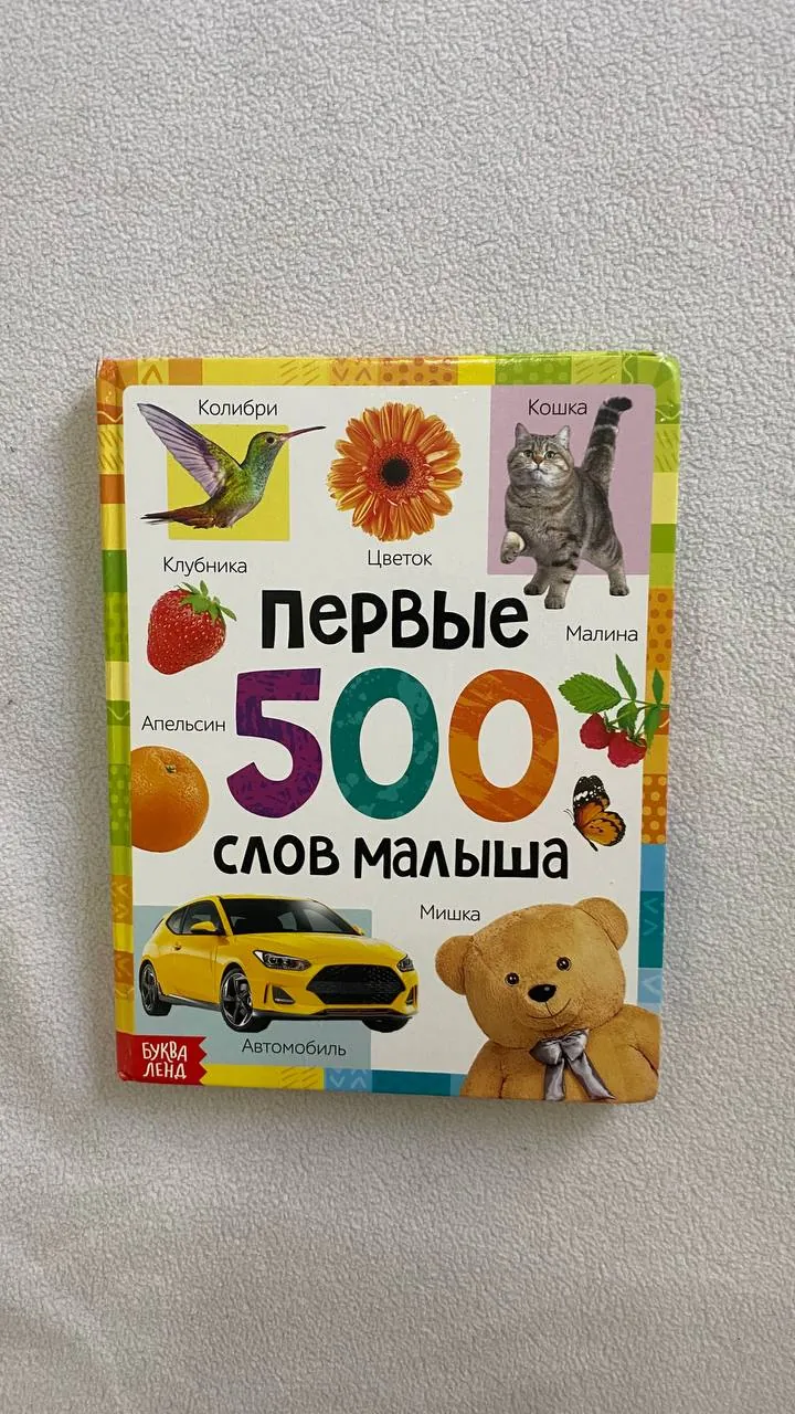 Книга Первые 500 слов и сортер детский 3