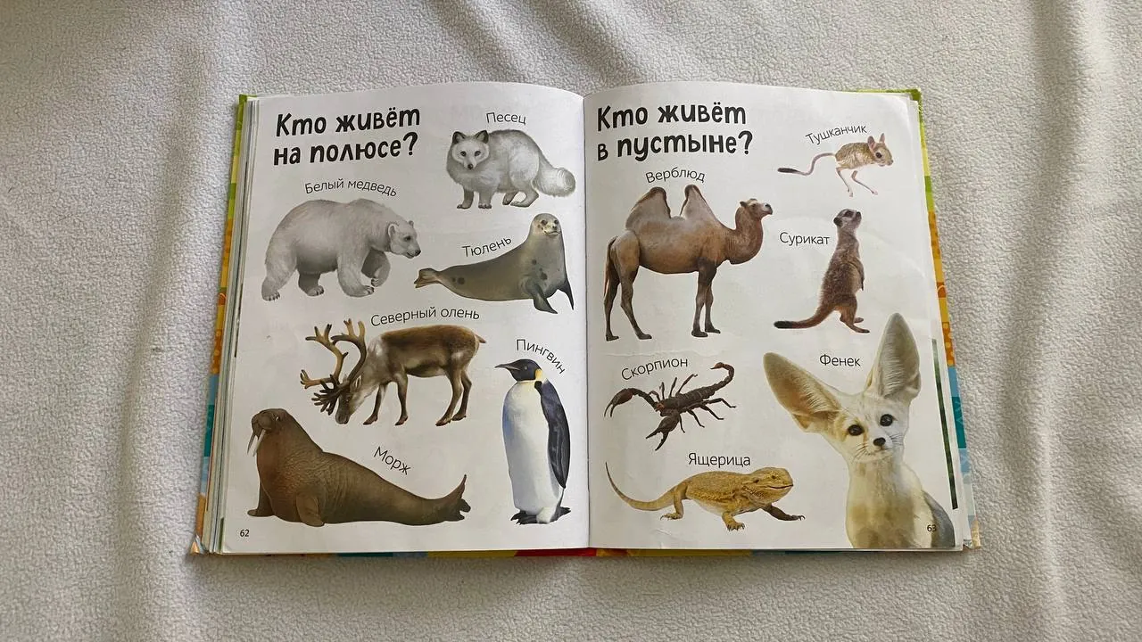 Книга Первые 500 слов и сортер детский 8