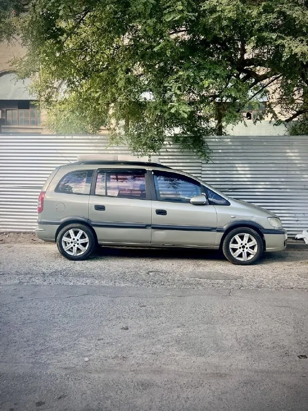 Chevrolet Zafira 2010 GL 2.0 8V 1