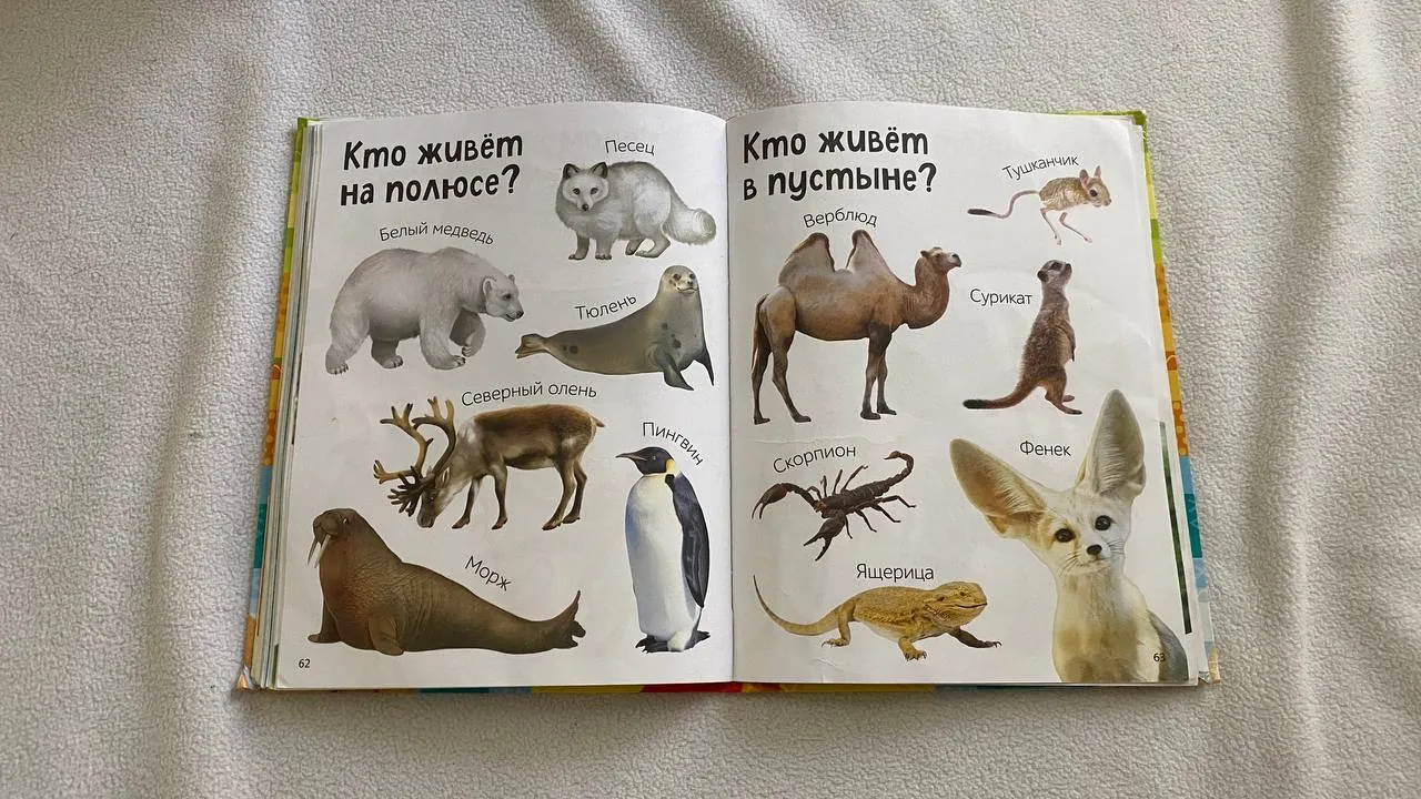 Миниатюра 10