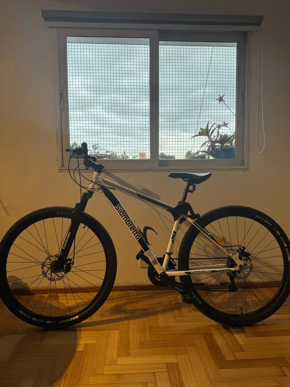 Велосипед Siambretta 5 PRO R29 3